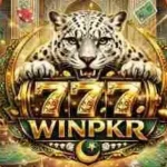 Winpkr777 Game