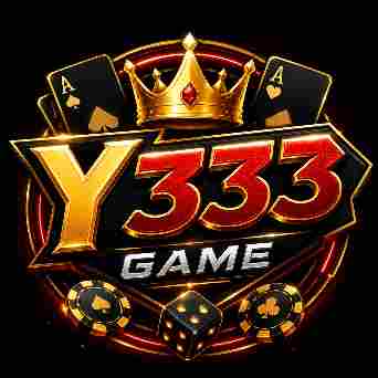 Y333 Game
