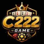 C222 Game