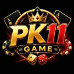 PK11 Game